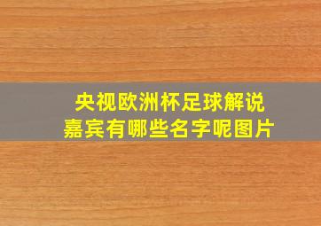 央视欧洲杯足球解说嘉宾有哪些名字呢图片