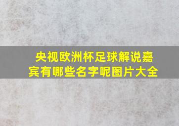 央视欧洲杯足球解说嘉宾有哪些名字呢图片大全