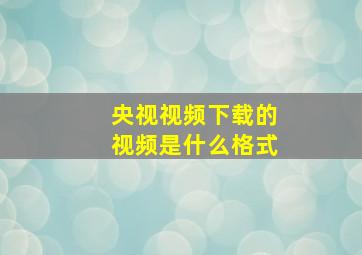 央视视频下载的视频是什么格式