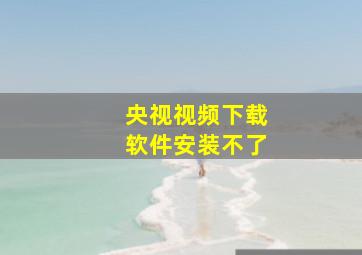 央视视频下载软件安装不了