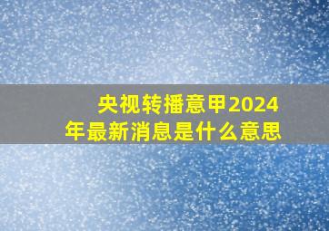 央视转播意甲2024年最新消息是什么意思