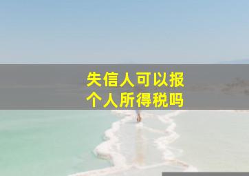 失信人可以报个人所得税吗