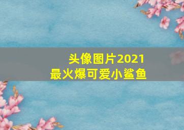 头像图片2021最火爆可爱小鲨鱼