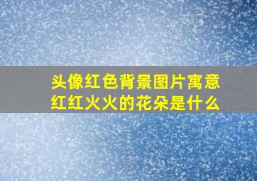 头像红色背景图片寓意红红火火的花朵是什么