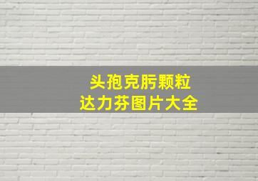 头孢克肟颗粒达力芬图片大全