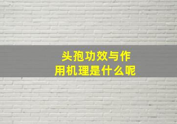 头孢功效与作用机理是什么呢