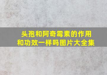 头孢和阿奇霉素的作用和功效一样吗图片大全集