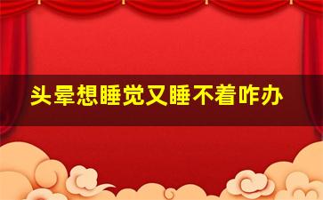 头晕想睡觉又睡不着咋办