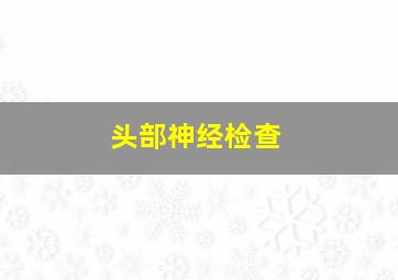 头部神经检查