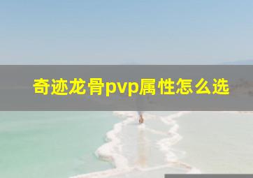 奇迹龙骨pvp属性怎么选