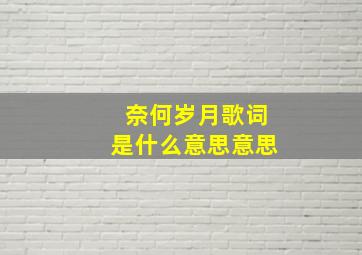 奈何岁月歌词是什么意思意思