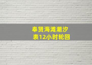 奉贤海滩潮汐表12小时轮回