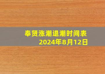 奉贤涨潮退潮时间表2024年8月12日