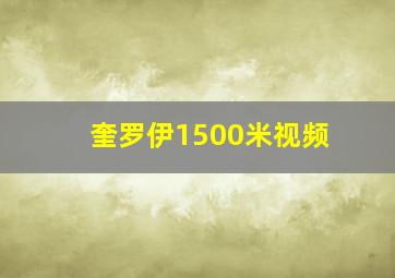 奎罗伊1500米视频