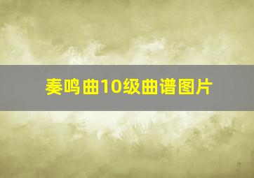 奏鸣曲10级曲谱图片