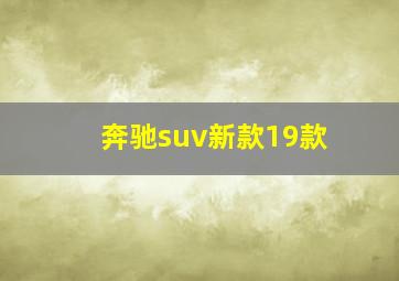 奔驰suv新款19款