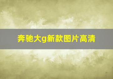 奔驰大g新款图片高清