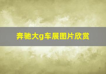 奔驰大g车展图片欣赏