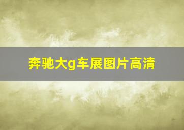 奔驰大g车展图片高清