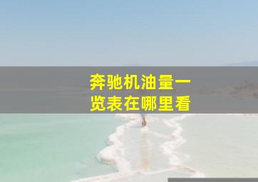 奔驰机油量一览表在哪里看