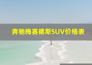 奔驰梅赛德斯SUV价格表