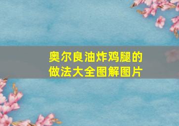 奥尔良油炸鸡腿的做法大全图解图片