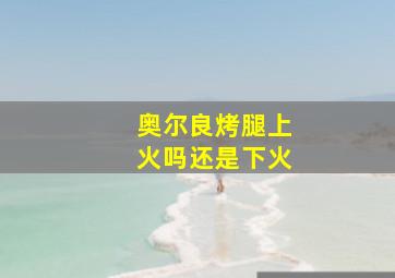 奥尔良烤腿上火吗还是下火