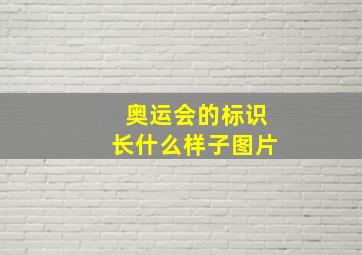 奥运会的标识长什么样子图片