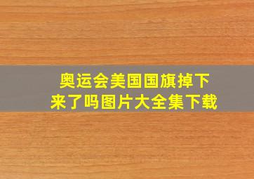 奥运会美国国旗掉下来了吗图片大全集下载