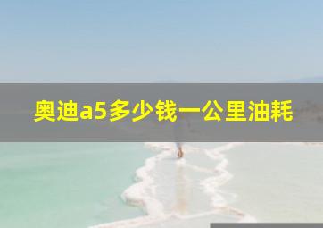 奥迪a5多少钱一公里油耗