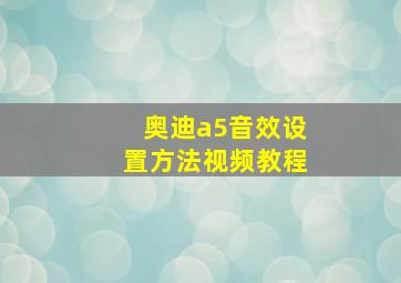 奥迪a5音效设置方法视频教程