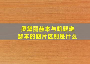 奥黛丽赫本与凯瑟琳赫本的图片区别是什么