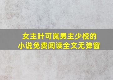 女主叶可岚男主少校的小说免费阅读全文无弹窗