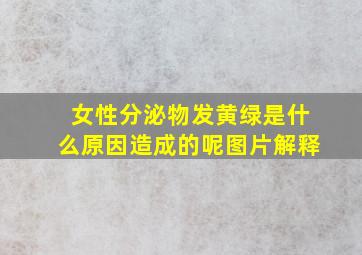 女性分泌物发黄绿是什么原因造成的呢图片解释