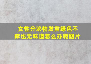 女性分泌物发黄绿色不痒也无味道怎么办呢图片