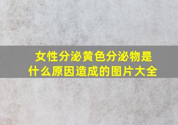 女性分泌黄色分泌物是什么原因造成的图片大全