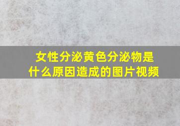 女性分泌黄色分泌物是什么原因造成的图片视频