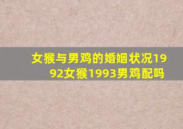 女猴与男鸡的婚姻状况1992女猴1993男鸡配吗