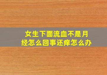 女生下面流血不是月经怎么回事还痒怎么办