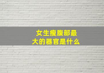 女生瘦腹部最大的器官是什么