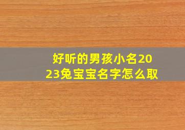 好听的男孩小名2023兔宝宝名字怎么取