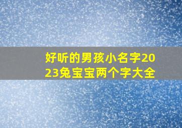 好听的男孩小名字2023兔宝宝两个字大全