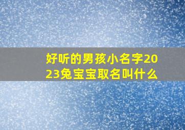 好听的男孩小名字2023兔宝宝取名叫什么