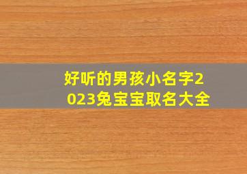 好听的男孩小名字2023兔宝宝取名大全