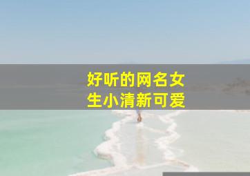 好听的网名女生小清新可爱