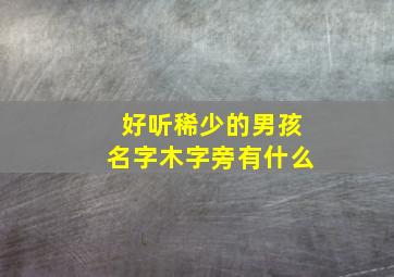 好听稀少的男孩名字木字旁有什么