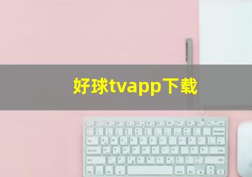 好球tvapp下载