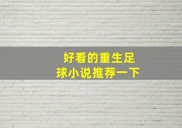 好看的重生足球小说推荐一下