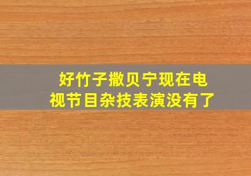 好竹子撒贝宁现在电视节目杂技表演没有了