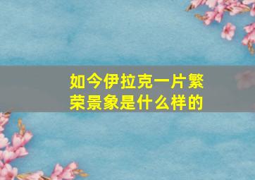 如今伊拉克一片繁荣景象是什么样的